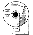 Fig.1b Austenite shell with additional eutectic dendrites.