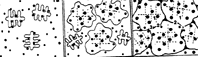 Fig.1c Dendrite encapsulation theory