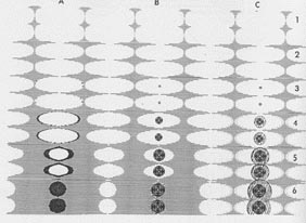Fig5
