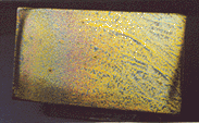 Photo11