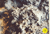 Photo13