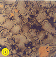Photo 2 Copper inclusions