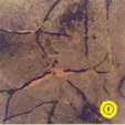 Photo 4 Copper flakes 