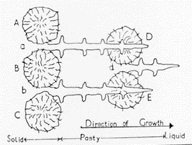 eutectic cells