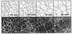 eutectic cells