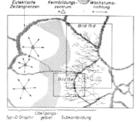 eutectic cells