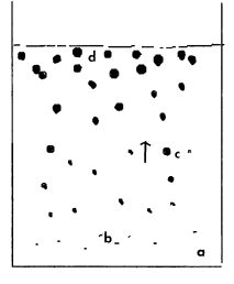 Fig.12 Generally assumed flotation mechanism.