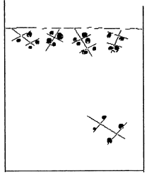 Fig.16 Nodules in flotation zone lie within austenite dendrites
