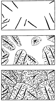 Fig.4 Kish graphite formation