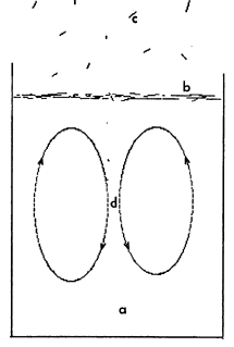 Fig.5  Kish graphite formation as a surface phenomenon